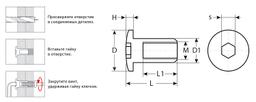 ЗУБР  M6 x 12 мм, шест. 5 мм, цинк, 5 кг, гайка Эриксона с полукруглой головкой, Профессионал (303760-5) - 3