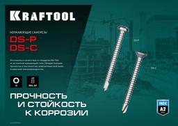 KRAFTOOL DS-C, 32 х 4.8 мм, А2, сверло, потайная головка, ТХ25, 250 шт, саморез нержавеющий (300932-48-032) - 2