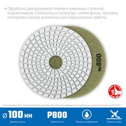 ЗУБР 100 мм, №800, мокрое шлифование, алмазный гибкий шлифовальный круг АГШК, Профессионал (29866-800) - 2