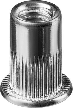 KRAFTOOL Nut-S, М6, 500 шт, резьбовые заклепки стальные с насечками (311707-06) - 1