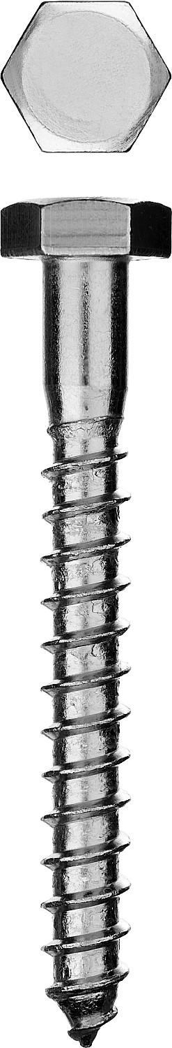 Шурупы ШДШ с шестигранной головкой (DIN 571), 30 х 6 мм, 3 500 шт, ЗУБР - 1