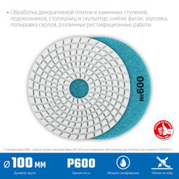 ЗУБР 100 мм, №600, мокрое шлифование, алмазный гибкий шлифовальный круг АГШК, Профессионал (29866-600) - 2