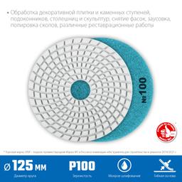 ЗУБР 125 мм, №100, мокрое шлифование, алмазный гибкий шлифовальный круг АГШК, Профессионал (29867-100) - 3