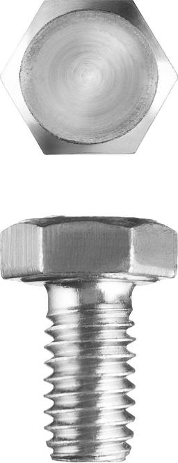 ЗУБР  ГОСТ 7798-70, кл. пр. 5.8, M6 х 10 мм, цинк, 5 кг, болт (303080-06-010) - 1