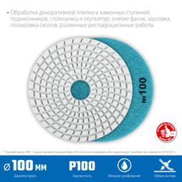 ЗУБР 100 мм, №100, мокрое шлифование, алмазный гибкий шлифовальный круг АГШК, Профессионал (29866-100) - 2
