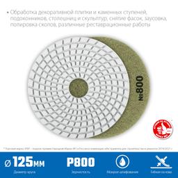 ЗУБР 125 мм, №800, мокрое шлифование, алмазный гибкий шлифовальный круг АГШК, Профессионал (29867-800) - 2