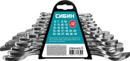СИБИН 12 шт, 6 - 32 мм, набор рожковых гаечных ключей (27014-H12) - 1