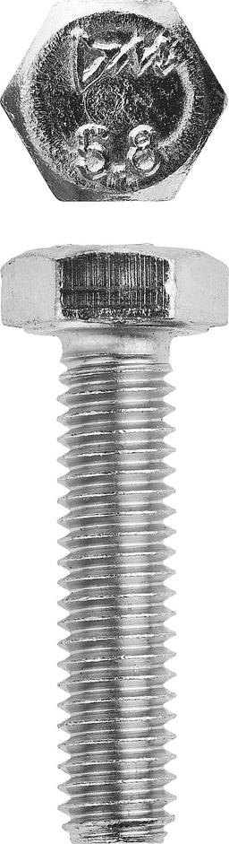 ЗУБР ГОСТ 7798-70, кл. пр. 5.8, M6 х 40 мм, цинк, 5 кг, болт (303080-06-040) - 1