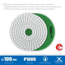 ЗУБР 100 мм, №100, мокрое шлифование, алмазный гибкий шлифовальный круг АГШК, Профессионал (29866-1000) - 2
