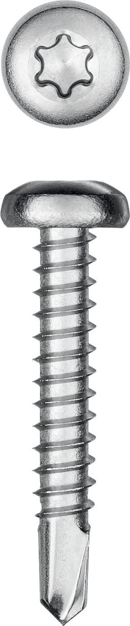 KRAFTOOL DS-P, 32 х 4.8 мм, А2, сверло, полукруглая головка, ТХ25, 250 шт, саморез нержавеющий (300931-48-032) - 1