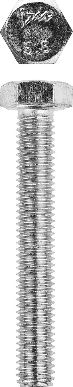 ЗУБР ГОСТ 7798-70, кл. пр. 5.8, M10 х 40 мм, цинк, 5 кг, болт (303080-10-040) - 1