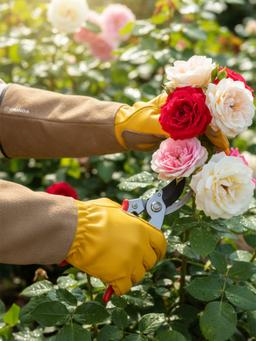 GRINDA ROSE, M (8), кожаные садовые перчатки для колючих кустарников с увеличенной крагой, усиленная ладонь и кончики пальцев, PRO Line (11303-M) - 2