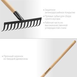 GRINDA GT-12 WOOD, 310 х 80 х 1300 мм, 12 прямых зубцов, углерод. сталь, антикор. покрытие, черенок дерев. высш. сорт, садовые грабли (39583-12) - 2