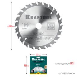 KRAFTOOL Optima, 160 х 20 мм, 24Т, пильный диск по дереву (36951-160-20) - 8