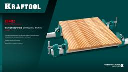 KRAFTOOL BRC-250, 2540/48 мм, высокоточная струбцина-вайма (32313-250) - 2