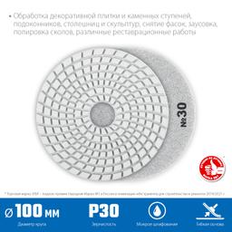 ЗУБР 100 мм, №30, мокрое шлифование, алмазный гибкий шлифовальный круг АГШК, Профессионал (29866-030) - 2